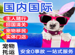 南昌航空托运国际宠物托运 【国